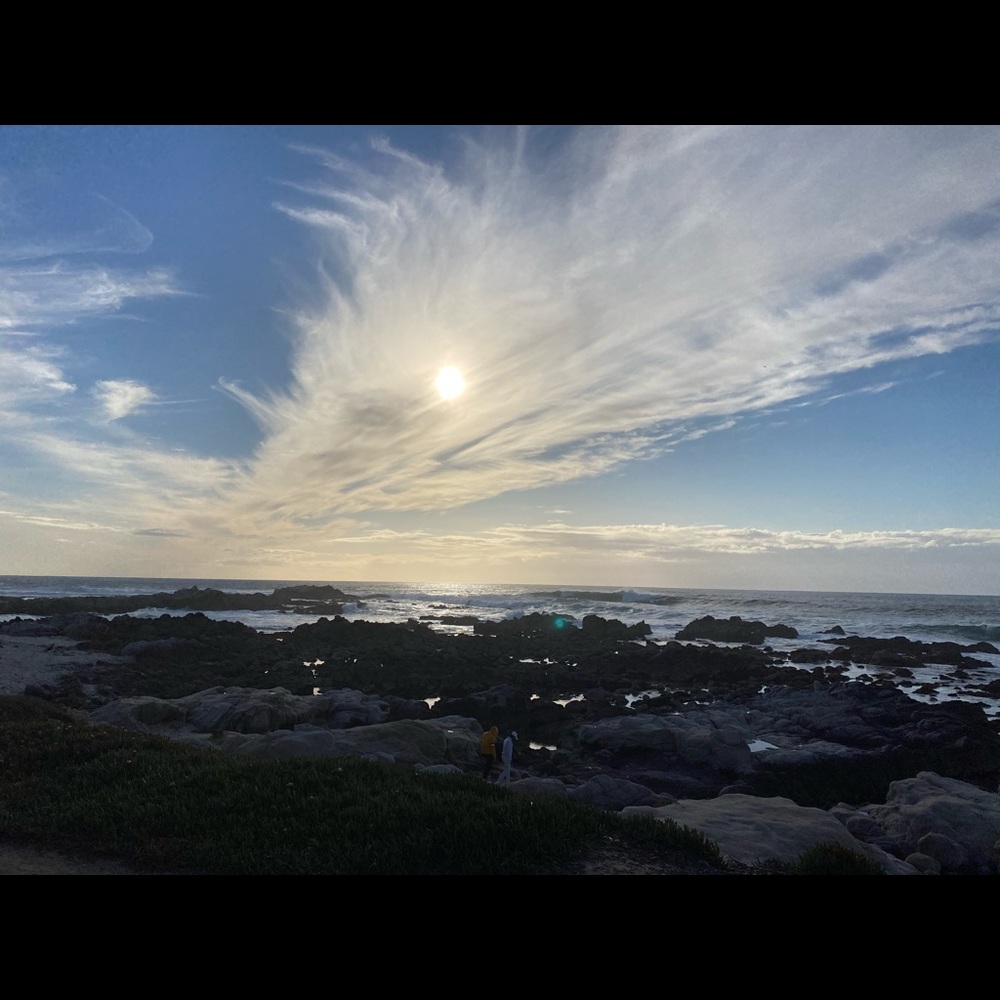 Meet your Posher, Brenda